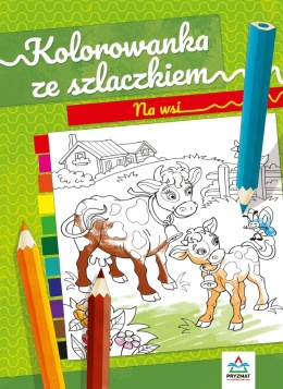 Kolorowanka edukacyjna Malowanka Na Wsi Książeczka edukacyjna Szlaczki