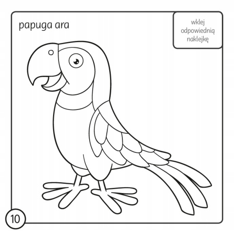 Kolorowanka z kredką Egzotyczne zwierzęta 3+ 24 naklejki kredka 11 kolorów