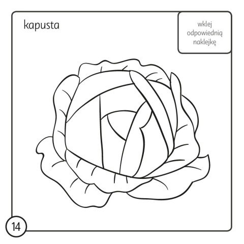 Kolorowanka z kredką Warzywa i owoce 3+ 36 stron 40 naklejek Malowanka