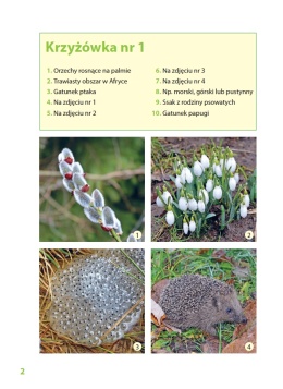 Krzyżówki z przyrodą w tle edukacyjna krzyżówka dla dzieci książeczka 8+