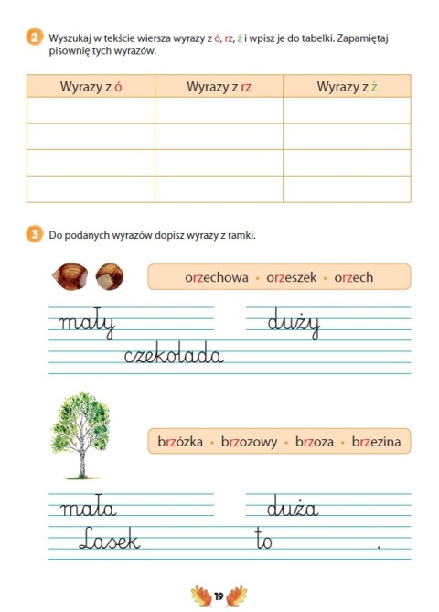 Pisz poprawnie klasa 2 ćwiczenia ortograficzne dla dzieci ortografia 7+