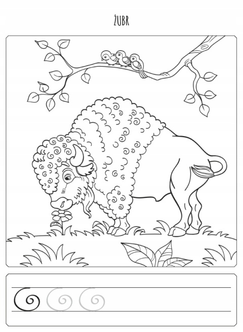 W lesie i na łące kreatywna kolorowanka ze szlaczkami Malowanka dla dzieci