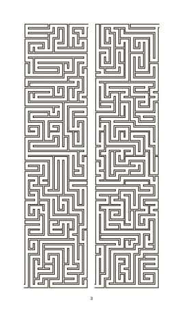 LABIRYNTY antystresowe dla dorosłych i dzieci 99 zadań logicznych