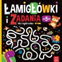Pakiet książeczek łamigłówki zagadki labirynty dla 5 latka 4 szt Aksjomat
