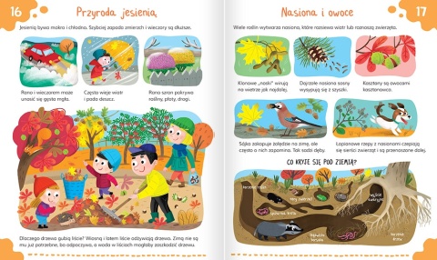 Przedszkolak poznaje przyrodę Zwierzęta i rośliny Polski książka dla dzieci