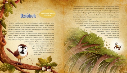 Bajki dla dzieci na dobranoc książka duże litery Wydanie Specjalne Greg