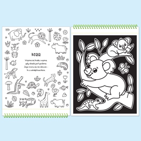 Dotykaj i koloruj W zoo welurkowa kolorowanka książka dla dzieci 4 lat
