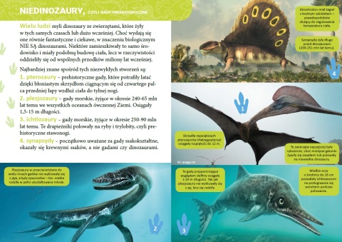Mała encyklopedia Dinozaury książka edukacyjna fakty ciekawostki dla dzieci
