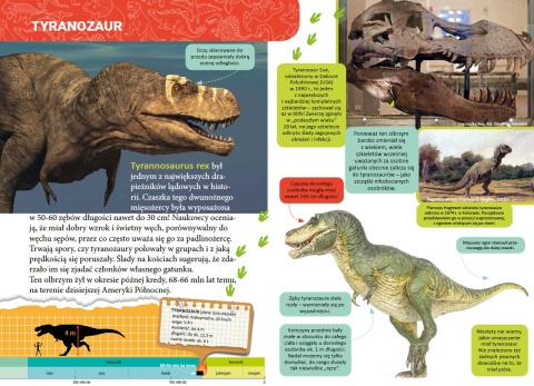 Mała encyklopedia Dinozaury książka edukacyjna fakty ciekawostki dla dzieci
