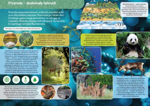 Mała encyklopedia Ekologia książka edukacyjna fakty ciekawostki dla dzieci