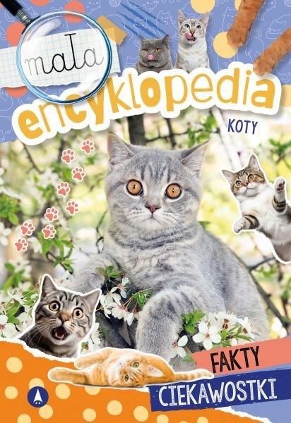 Mała encyklopedia Koty książka edukacyjna fakty ciekawostki dla dzieci