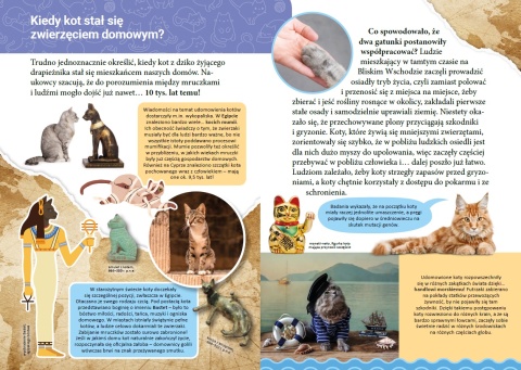 Mała encyklopedia Koty książka edukacyjna fakty ciekawostki dla dzieci