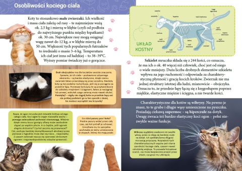 Mała encyklopedia Koty książka edukacyjna fakty ciekawostki dla dzieci