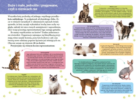 Mała encyklopedia Koty książka edukacyjna fakty ciekawostki dla dzieci