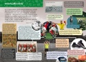 Mała encyklopedia Piłka nożna książka edukacyjna ciekawostki dla dzieci