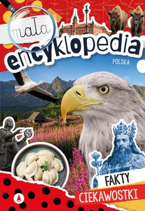 Mała encyklopedia Polska książka edukacyjna fakty ciekawostki dla dzieci