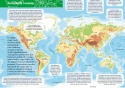 Mała encyklopedia Świat książka edukacyjna fakty ciekawostki dla dzieci