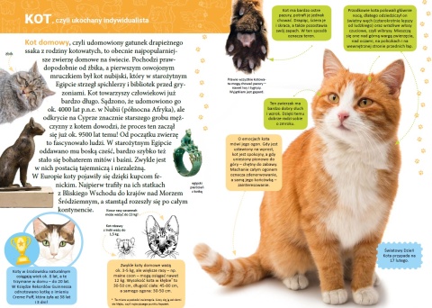 Mała encyklopedia Zwierzęta domowe książka edukacyjna ciekawostki 5+