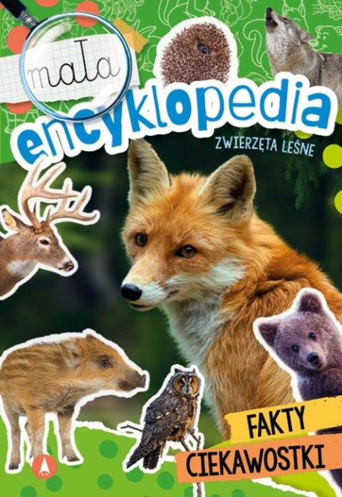 Mała encyklopedia Zwierzęta leśne książka edukacyjna fakty dla dzieci