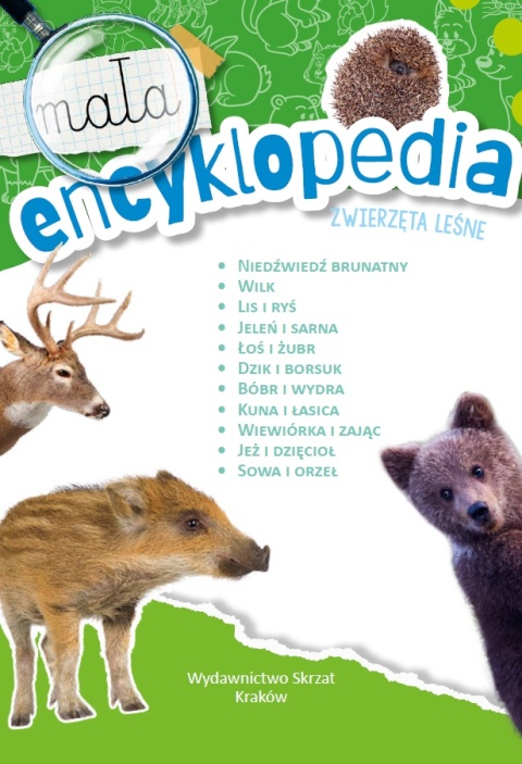 Mała encyklopedia Zwierzęta leśne książka edukacyjna fakty dla dzieci