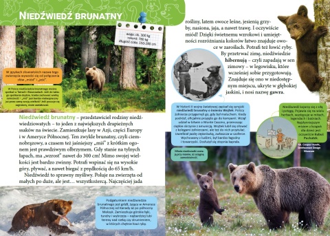 Mała encyklopedia Zwierzęta leśne książka edukacyjna fakty dla dzieci