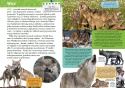 Mała encyklopedia Zwierzęta leśne książka edukacyjna fakty dla dzieci