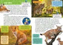 Mała encyklopedia Zwierzęta leśne książka edukacyjna fakty dla dzieci