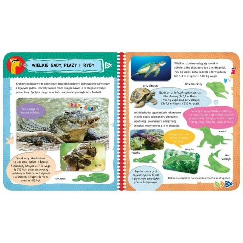 Niesamowite zwierzęta album z naklejkami ciekawostki edukacyjne dla dzieci
