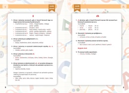 Nowe dyktanda klasy 4 6 książka ortografia szkoła podstawowa 180 str