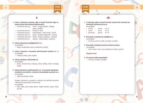 Nowe dyktanda klasy 4 6 książka ortografia szkoła podstawowa 180 str