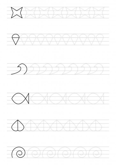 Papugi kolorowanka dla dzieci książka edukacyjna A4 32 strony ptaki