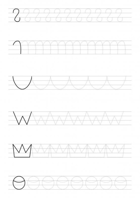 Papugi kolorowanka dla dzieci książka edukacyjna A4 32 strony ptaki