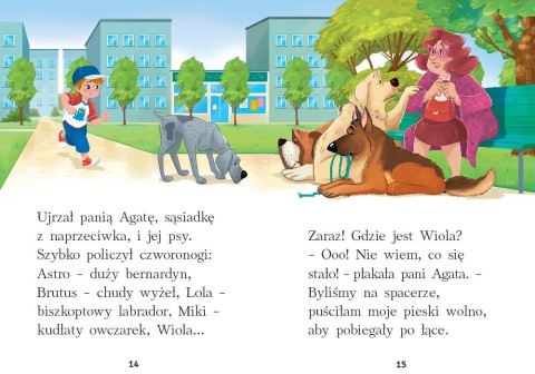 Niezwykły dzień duże litery książka do nauki czytania dla dzieci Aksjomat