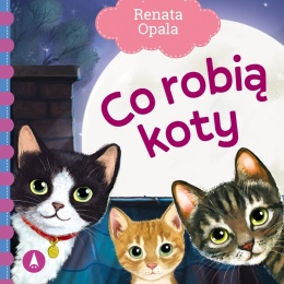CO ROBIĄ KOTY książeczka dla dzieci opowiadania dla dziecka czytanka
