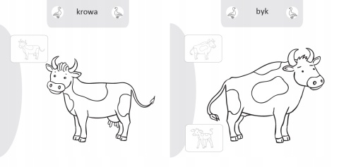 Kolorowanka malowanka dla dzieci Malowanie-doklejanie Na Wsi + Naklejki Kolorowanka malowanka dla dzieci Malowanie-doklejanie Na Wsi + Naklejki