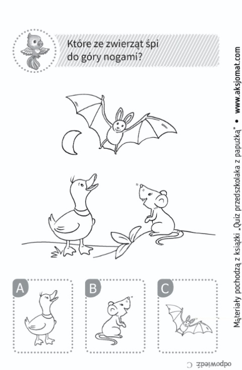 Quiz przedszkolaka z papużką Zadania rebusy dla dzieci książeczka Quiz przedszkolaka z papużką Zadania rebusy dla dzieci książeczka