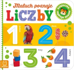 Maluch poznaje liczby Książeczka mądrego dziecka Twarda Książeczka