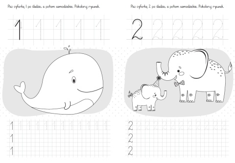 Moje cyferki - edukacyjna książeczka matematyczna dla przedszkolaka Moje cyferki - edukacyjna książeczka matematyczna dla przedszkolaka