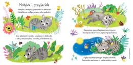 Piosenki dla maluszka Biblioteczka małego dziecka Książeczka kartonowa
