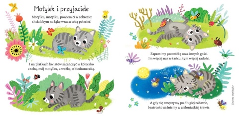 Piosenki dla maluszka Biblioteczka małego dziecka Książeczka kartonowa Piosenki dla maluszka Biblioteczka małego dziecka Książeczka kartonowa