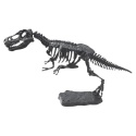 Zestaw Kopalnia Wykopaliska Dinozaur Archeologiczne Szkielet Narzędzia TREX