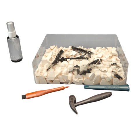 Zestaw Kopalnia Wykopaliska Dinozaur Archeologiczne Szkielet + Narzędzia Zestaw Kopalnia Wykopaliska Dinozaur Archeologiczne Szkielet + Narzędzia