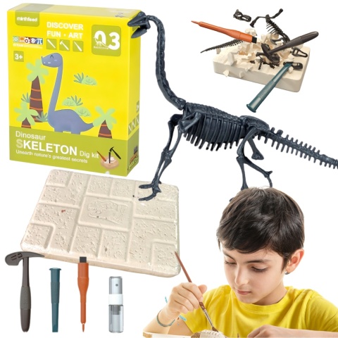 Zestaw Kopalnia Wykopaliska Dinozaur Archeologiczne Szkielet + Narzędzia Zestaw Kopalnia Wykopaliska Dinozaur Archeologiczne Szkielet + Narzędzia