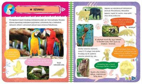 Album z naklejkami Egzotyczne zwierzęta Ciekawostki dla dzieci Aksjomat Album z naklejkami Egzotyczne zwierzęta Ciekawostki dla dzieci Aksjomat