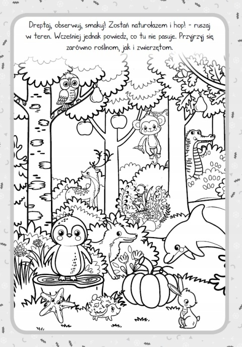 Moja przyroda Edukacyjna książeczka nauka o świecie roślin i zwierząt