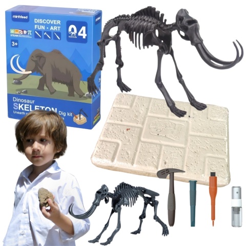 Zestaw Kopalnia Wykopaliska Dinozaur Archeologiczne Szkielet + Narzędzia Zestaw Kopalnia Wykopaliska Dinozaur Archeologiczne Szkielet + Narzędzia