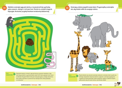Zwierzęta dla 3-latka edukacyjna książeczka Greg Super Akademia 3 lat